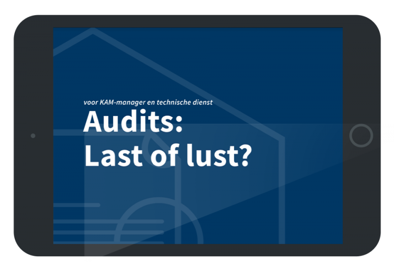Audits: last of lust